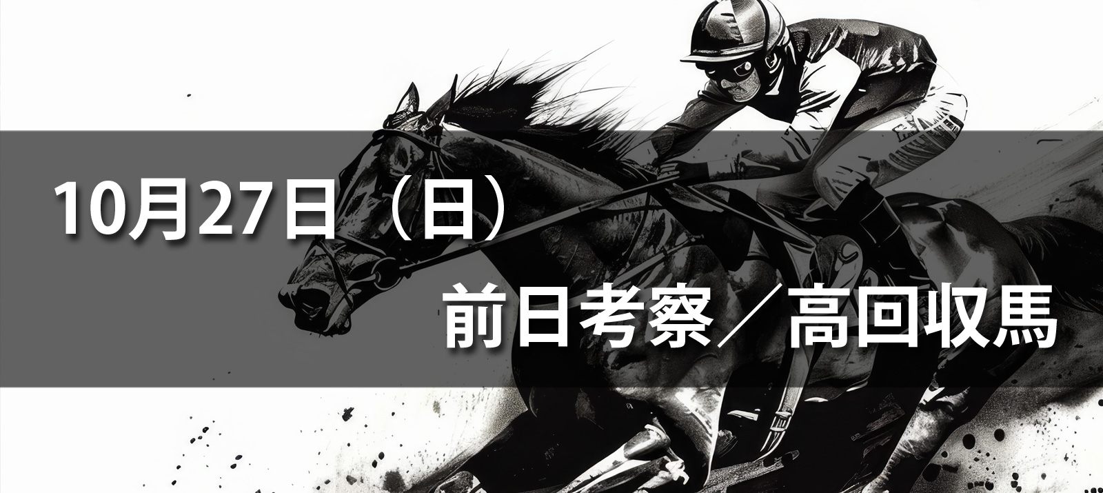 2024年10月27日（日）前日考察　高期待馬